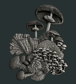 Zuri - Mushroom Bloom Set 2