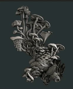 Zuri - Mushroom Bloom Set 3