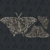 Zuri -Steampunk Butterfly -Bürobedarf Rabatte steampunkbutterflywatermarked